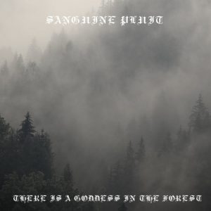 Sanguine Pluit - There Is a Goddess in the Forest - metal