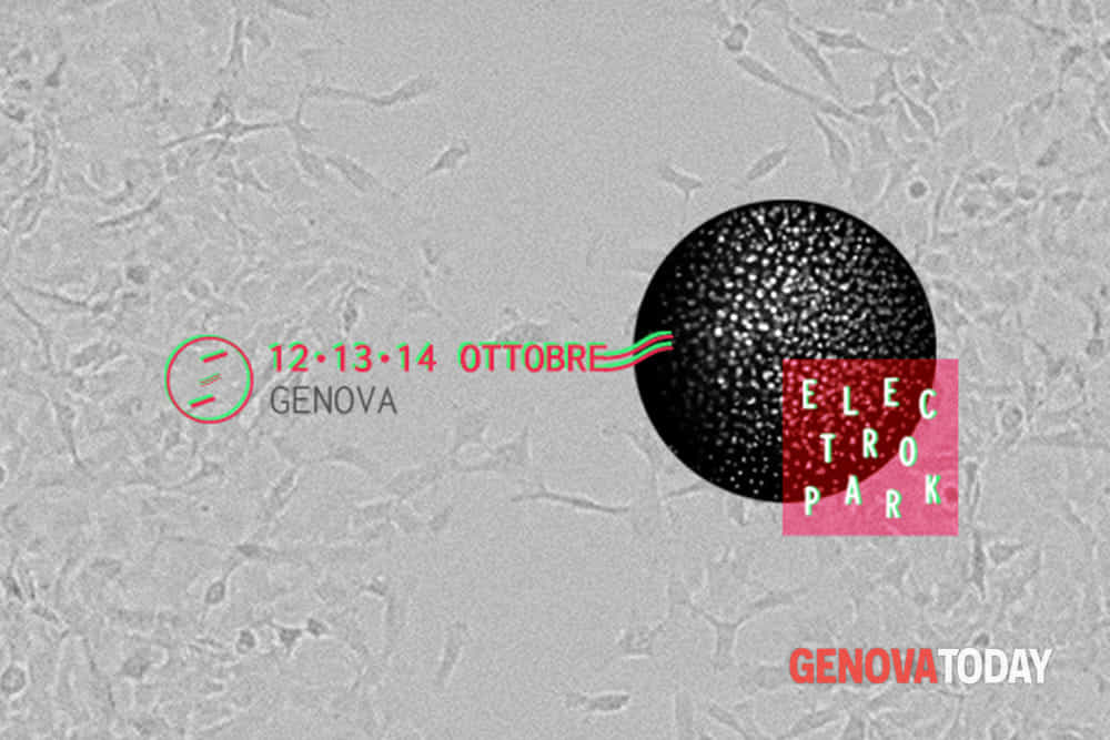Speciale Electropark Festival 2017 - In Your Eyes Ezine