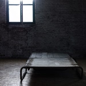 Charnia - Het Laatste Licht - metal