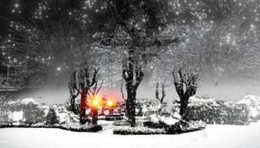 Il Bacio Dell'oblio, Di Federico Ferrauto - Intervista - Interviste