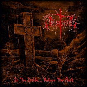Teratoma - The Inside Reborn...The Flesh - death
