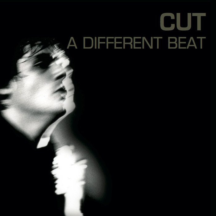 Fuzztones - Cut - A Different Beat