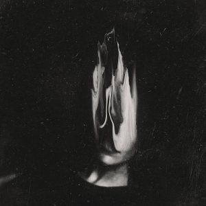 Haunted - Dayburner - metal