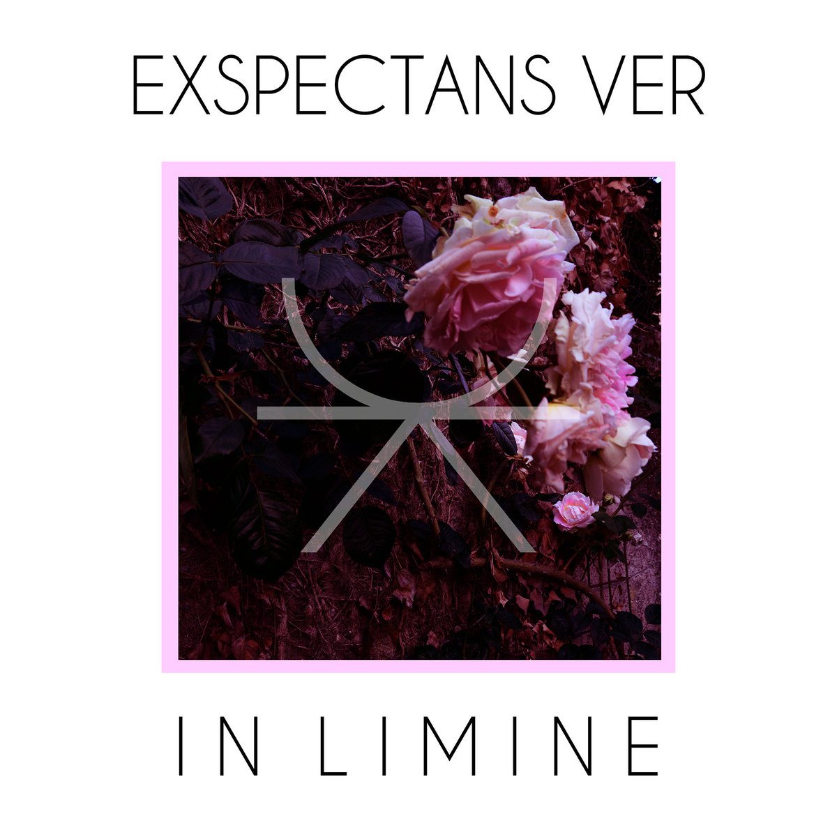 Exspectans Ver - In Your Eyes Ezine