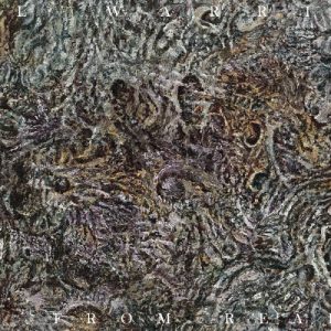 Evil Warriors - Fall From Reality - metal