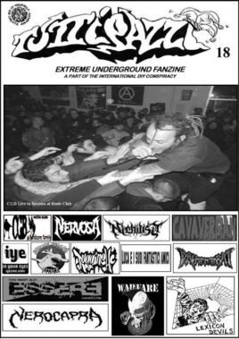 Tutti Pazzi Fanzine - Interviste