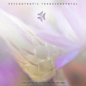 Psychotropic Transcendental - ... lun yolina un yolina thu Dar-davogh ... - metal