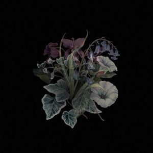 Nhor - Wildflowers - Altri Suoni