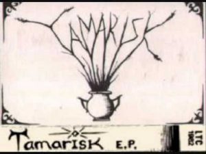 Tamarisk – The Ascension Tape - rock