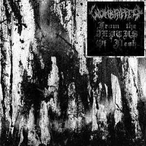 Wombripper - From The Depths Of Flesh - death