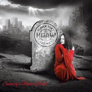 Heroes Don't Ask Why - Sound Of A Broken Heart - metal