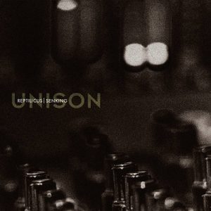 Reptilicus & Senking - Unison - Altri Suoni