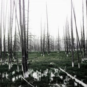 Seventh Genocide - Svnth - metal