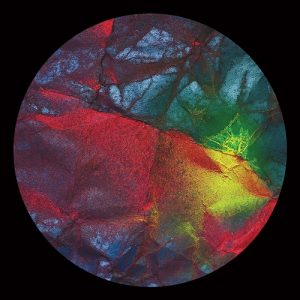 Jamaica Suk - Whispers Ep - Altri Suoni