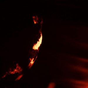 Skepticism - Stormcrowfleet - metal
