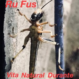 Ru Fus - Vita Natural Durante - rock