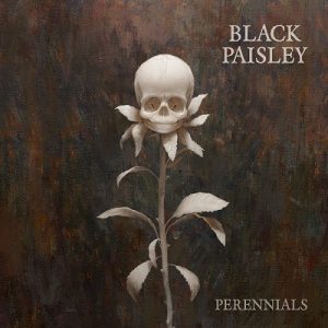 Black Paisley - Perennials - rock