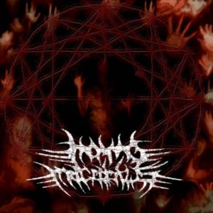 Homo Macabrus - Homo Macabrus - death