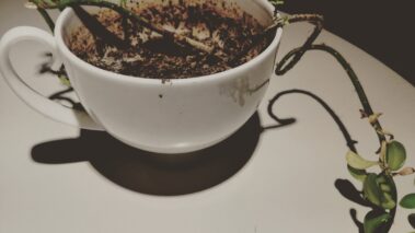 Ilda La Caffeinomane - Columns