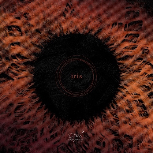 Owl Company - Iris - rock