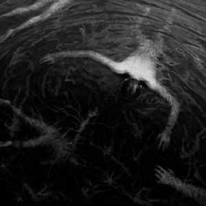 Altarage - The Approaching Roar - death