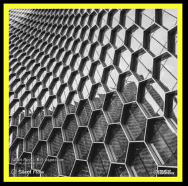 Intervista Ai Julian Ross - Interviste