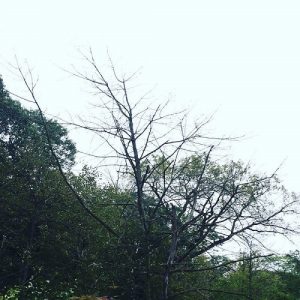 Sadness - Rain - metal