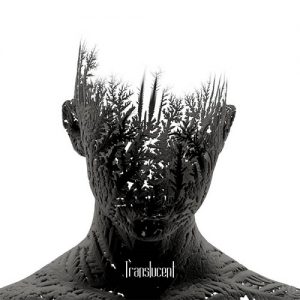 Sollar - Translucent - metal