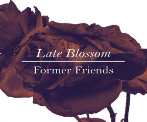 Former Friends - Late Blossom - rock