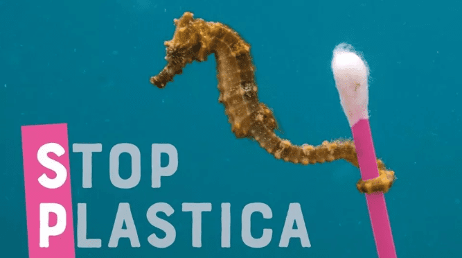 Spam. Stop Plastica A Mare Di Solibello Filippo