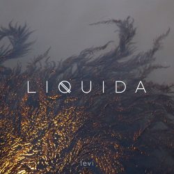 liquida