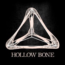 hollow bone