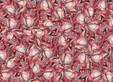 From My Windows – Giovedi 16 Aprile 2020 - Iyelab