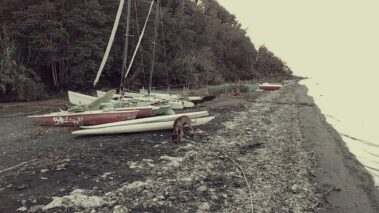 Path - Small Town Boy - Recensioni Rock