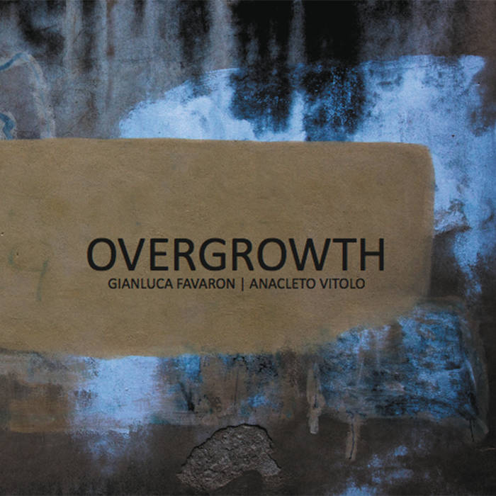 Bee Bee Sea - Anacleto Vitolo Gianluca Favaron - Overgrowth