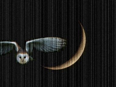 Il Barbagianni Innamorato Secondo Episodio - Iyelab