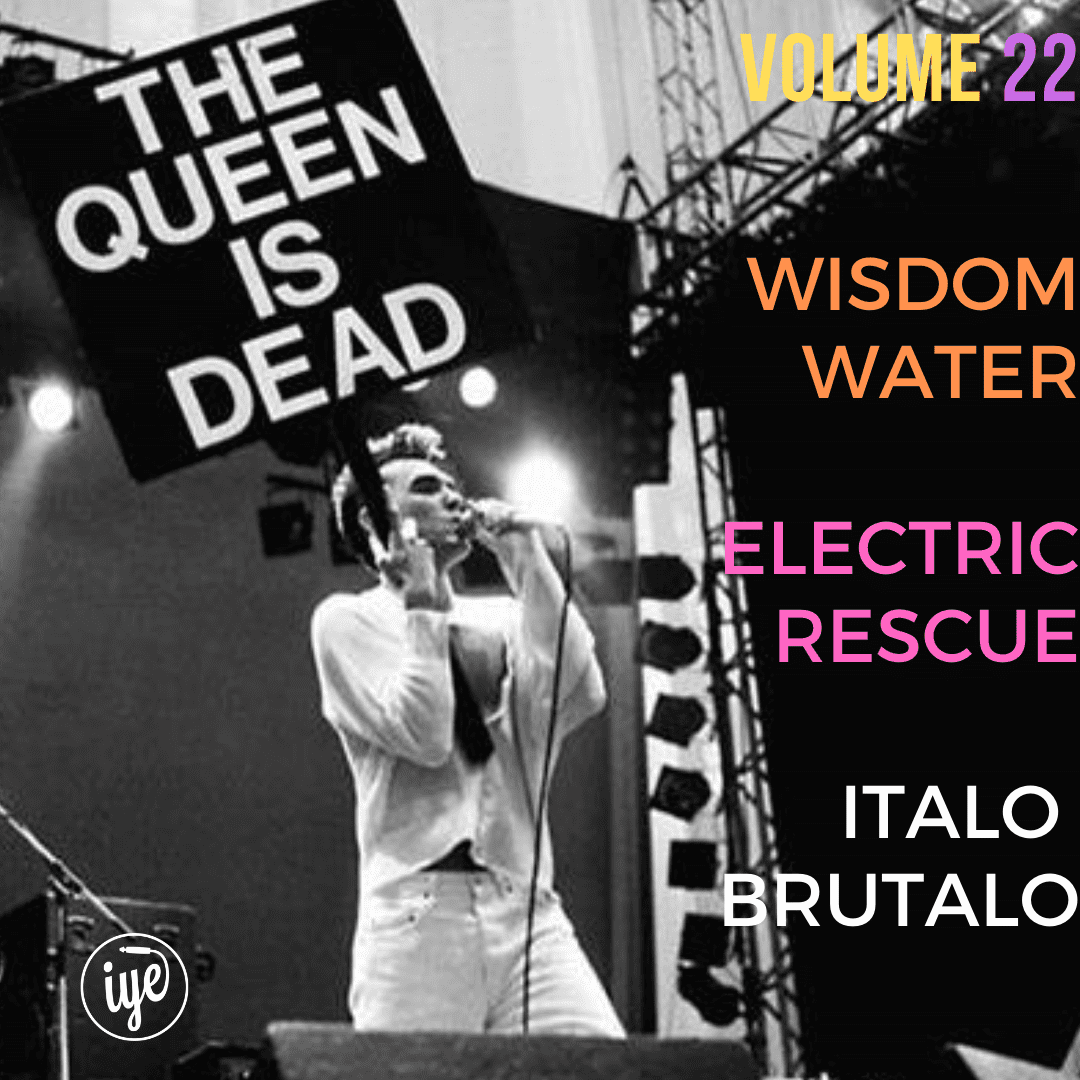 Cluster Lizard - The Queen Is Dead Volume 22 - Wisdom Water Electric Rescue Italo Brutalo