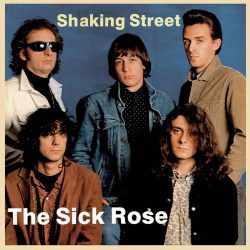 The Sick Rose - Shaking Street