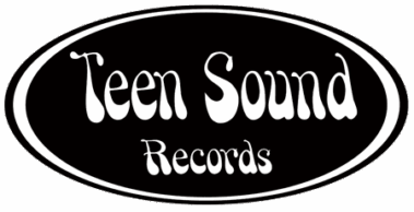 Teen Sound Records (misty Lane) Ristampa Classici Del Garage Punk Americano - Musica Punk