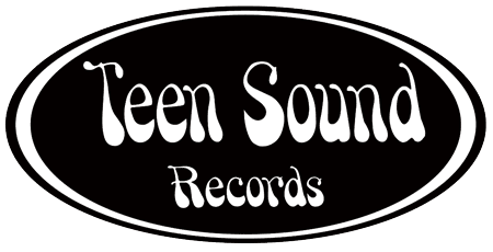 Teen Sound Records - Teen Sound Records (Misty Lane) Ristampa Classici Del Garage Punk Americano