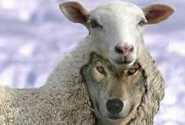 Ora O Poi - youneedⒶ