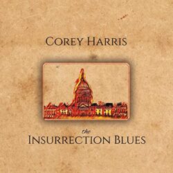 Corey Harris - The Insurrection Blues