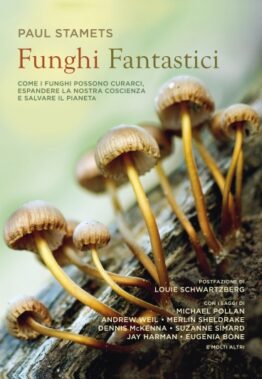 Paul Stamets - Funghi Fantastici - Piano B Edizioni - 2021 - Recensione Libri
