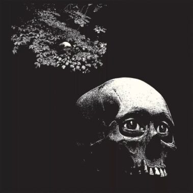 OSEES - A FOUL FORM - Recensioni Rock