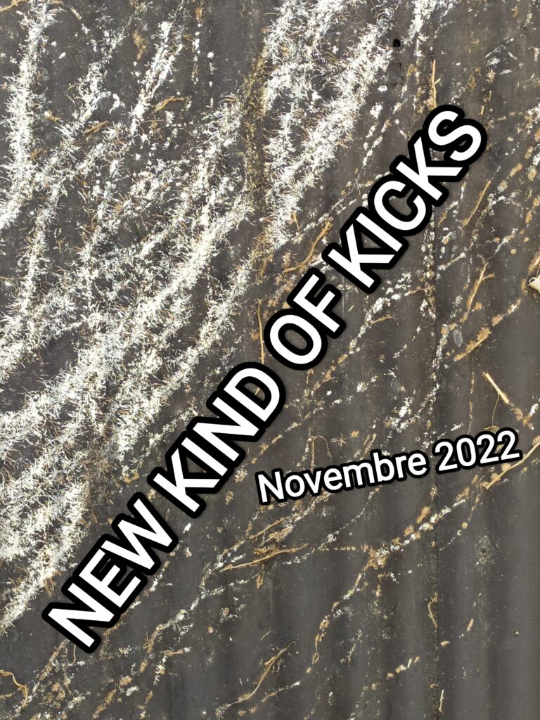 New Kind Of Kicks #1