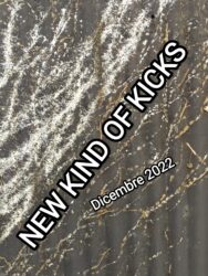 New Kind of Kicks #2-Dicembre 2022: Art, Boyracer, Bromance, Cells, Chalk, Chisel/Mess, Dalibor Cruz, Diablos Inc./Spam, Displeasure, Evil Tree, Filthscum, Flux, Juggling Jugulars, Le Pilgrim, Los Spunky’s, Mojo Menders, Power Flower, SecoSecoSeco, Shitty Life, Smacko, Star House, Stiglitz, Tramp, Theo Wise/B.H.R., Trombe, Worm Reducer.