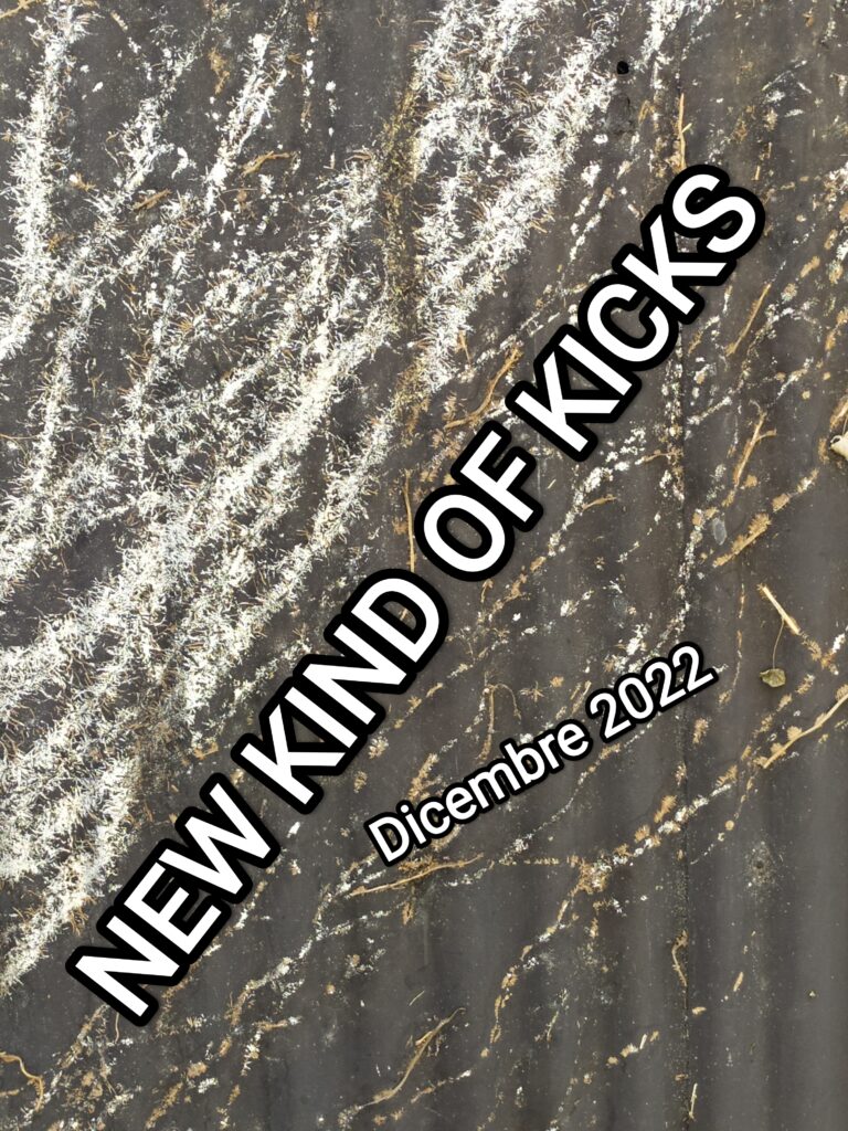 New Kind of Kicks #2-Dicembre 2022: Art, Boyracer, Bromance, Cells, Chalk, Chisel/Mess, Dalibor Cruz, Diablos Inc./Spam, Displeasure, Evil Tree, Filthscum, Flux, Juggling Jugulars, Le Pilgrim, Los Spunky’s, Mojo Menders, Power Flower, SecoSecoSeco, Shitty Life, Smacko, Star House, Stiglitz, Tramp, Theo Wise/B.H.R., Trombe, Worm Reducer.