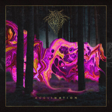 ROMAGNA IN FIORE - Recensioni Rock