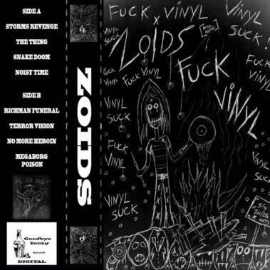 Zoids - Fuck Vinyl - Recensioni Rock