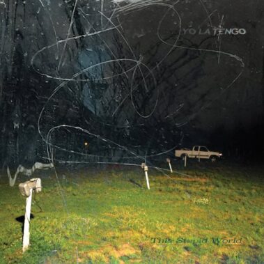 YO LA TENGO - THIS STUPID WORLD - Recensioni Rock